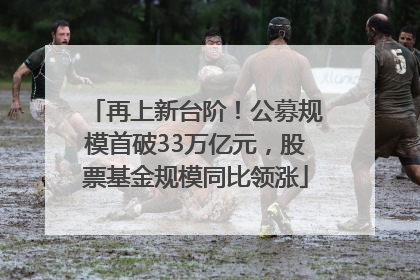 再上新台阶！公募规模首破33万亿元，股票基金规模同比领涨