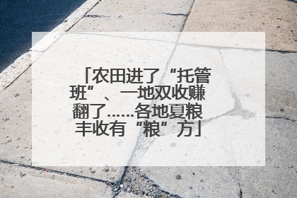 农田进了“托管班”、一地双收赚翻了……各地夏粮丰收有“粮”方