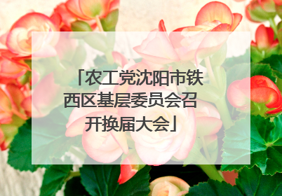 农工党沈阳市铁西区基层委员会召开换届大会