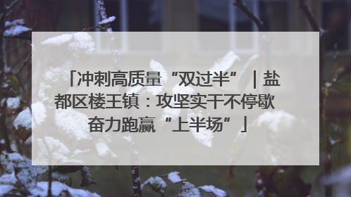 冲刺高质量“双过半”｜盐都区楼王镇：攻坚实干不停歇 奋力跑赢“上半场”