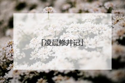 凌晨修井记