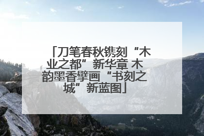 刀笔春秋镌刻“木业之都”新华章 木韵墨香擘画“书刻之城”新蓝图