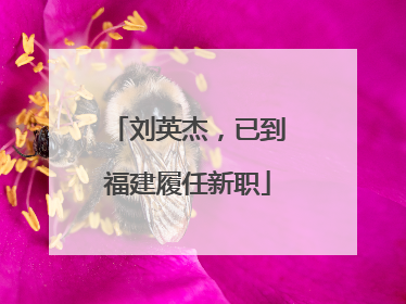 刘英杰，已到福建履任新职