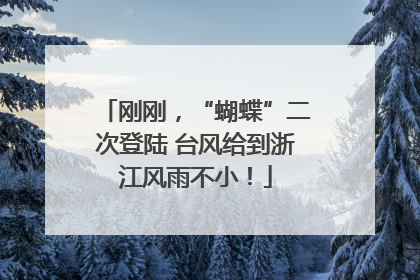 刚刚，“蝴蝶”二次登陆 台风给到浙江风雨不小！