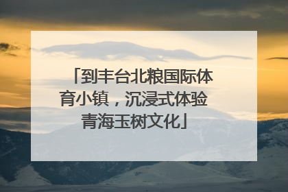 到丰台北粮国际体育小镇，沉浸式体验青海玉树文化