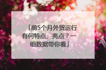 前5个月外贸运行有何特点、亮点？一组数据带你看
