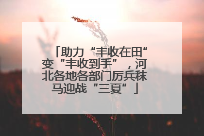 助力“丰收在田”变“丰收到手”，河北各地各部门厉兵秣马迎战“三夏”