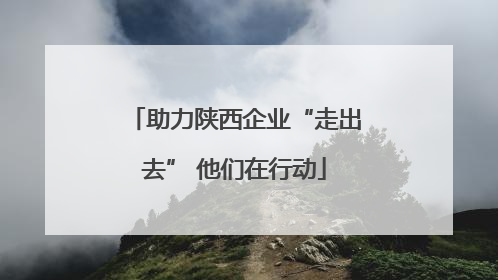 助力陕西企业“走出去” 他们在行动
