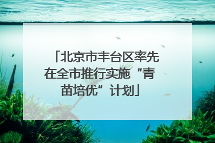 北京市丰台区率先在全市推行实施“青苗培优”计划