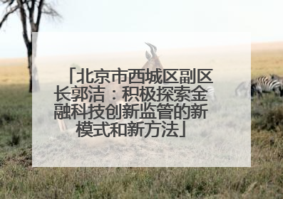 北京市西城区副区长郭洁：积极探索金融科技创新监管的新模式和新方法