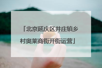 北京延庆区井庄镇乡村奥莱商街开街运营