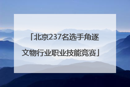 北京237名选手角逐文物行业职业技能竞赛