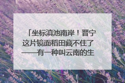 坐标滇池南岸！晋宁这片镜面稻田藏不住了——有一种叫云南的生活之365天