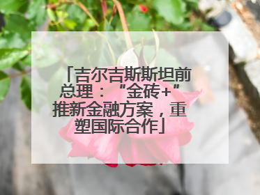 吉尔吉斯斯坦前总理：“金砖+”推新金融方案，重塑国际合作