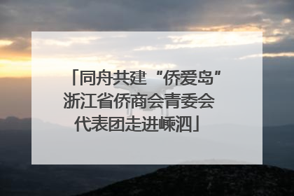 同舟共建“侨爱岛” 浙江省侨商会青委会代表团走进嵊泗