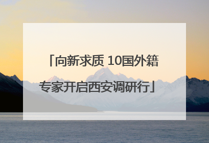 向新求质 10国外籍专家开启西安调研行