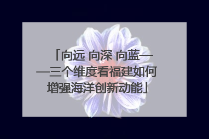 向远 向深 向蓝——三个维度看福建如何增强海洋创新动能