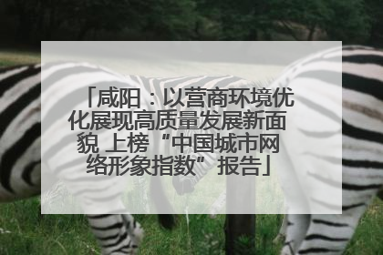 咸阳：以营商环境优化展现高质量发展新面貌 上榜“中国城市网络形象指数”报告