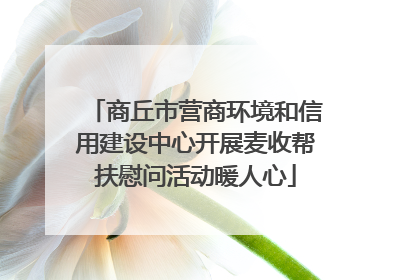 商丘市营商环境和信用建设中心开展麦收帮扶慰问活动暖人心