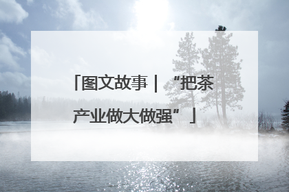 图文故事｜“把茶产业做大做强”