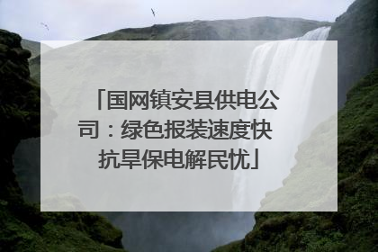 国网镇安县供电公司：绿色报装速度快 抗旱保电解民忧