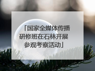 国家全媒体传播研修班在石林开展参观考察活动