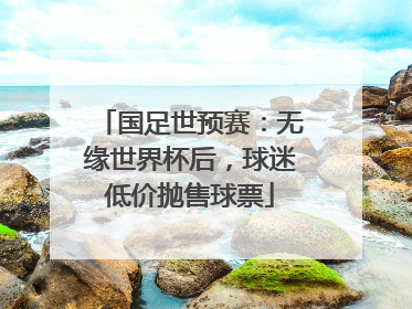 国足世预赛：无缘世界杯后，球迷低价抛售球票