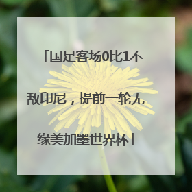 国足客场0比1不敌印尼，提前一轮无缘美加墨世界杯