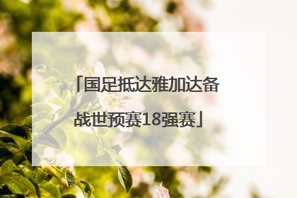 国足抵达雅加达备战世预赛18强赛