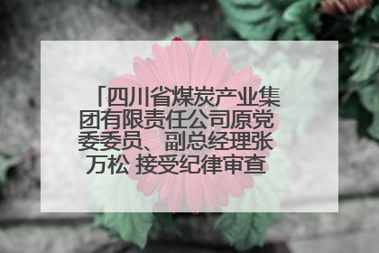 四川省煤炭产业集团有限责任公司原党委委员、副总经理张万松 接受纪律审查和监察调查