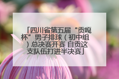 四川省第五届“贡嘎杯”男子排球（初中组）总决赛开赛 自贡这支队伍打进半决赛