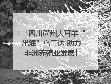 四川简州大耳羊“出海”乌干达 助力非洲养殖业发展