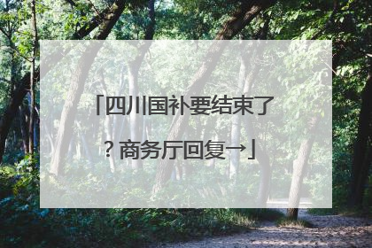 四川国补要结束了？商务厅回复→