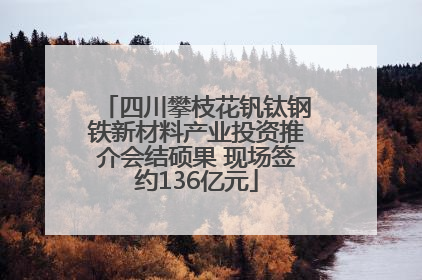 四川攀枝花钒钛钢铁新材料产业投资推介会结硕果 现场签约136亿元