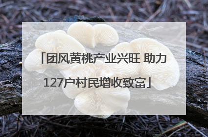 团风黄桃产业兴旺 助力127户村民增收致富