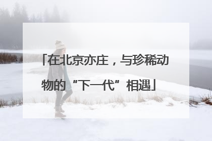 在北京亦庄，与珍稀动物的“下一代”相遇