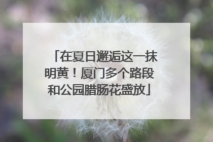在夏日邂逅这一抹明黄！厦门多个路段和公园腊肠花盛放