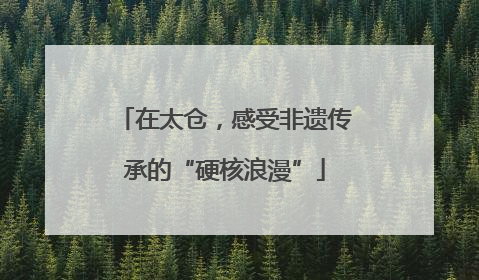 在太仓，感受非遗传承的“硬核浪漫”