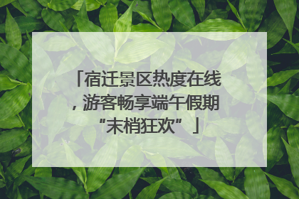 宿迁景区热度在线，游客畅享端午假期“末梢狂欢”