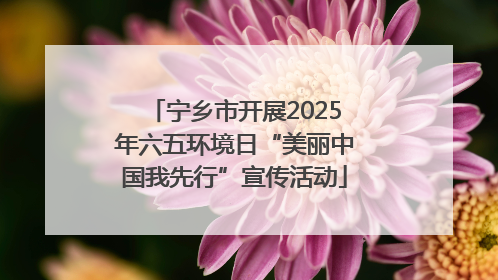 宁乡市开展2025年六五环境日“美丽中国我先行”宣传活动
