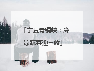 宁夏青铜峡：冷凉蔬菜迎丰收