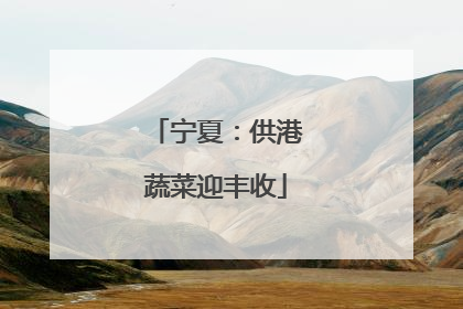 宁夏：供港蔬菜迎丰收