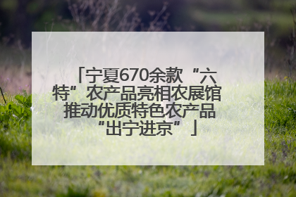 宁夏670余款“六特”农产品亮相农展馆 推动优质特色农产品“出宁进京”