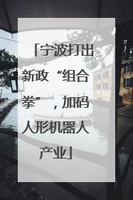 宁波打出新政“组合拳”，加码人形机器人产业