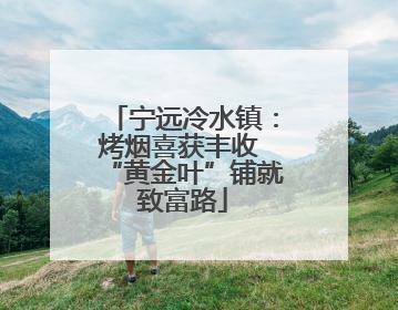 宁远冷水镇：烤烟喜获丰收 “黄金叶”铺就致富路