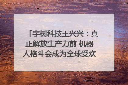宇树科技王兴兴：真正解放生产力前 机器人格斗会成为全球受欢迎的赛事｜科技观察