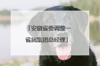 安徽省委调整一省属集团总经理