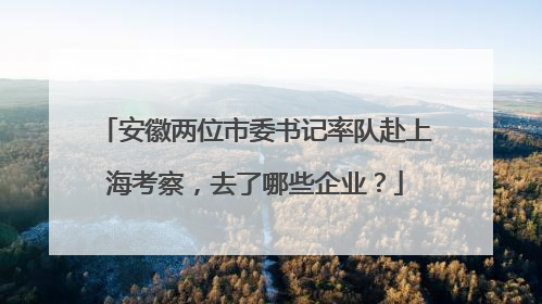 安徽两位市委书记率队赴上海考察，去了哪些企业？
