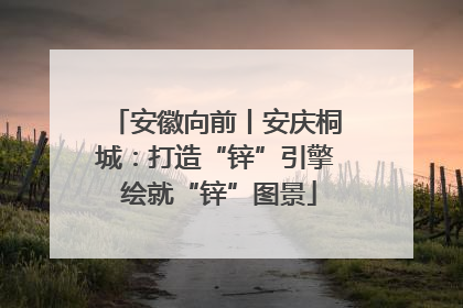 安徽向前丨安庆桐城：打造“锌”引擎 绘就“锌”图景