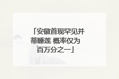 安徽首现罕见并蒂睡莲 概率仅为百万分之一